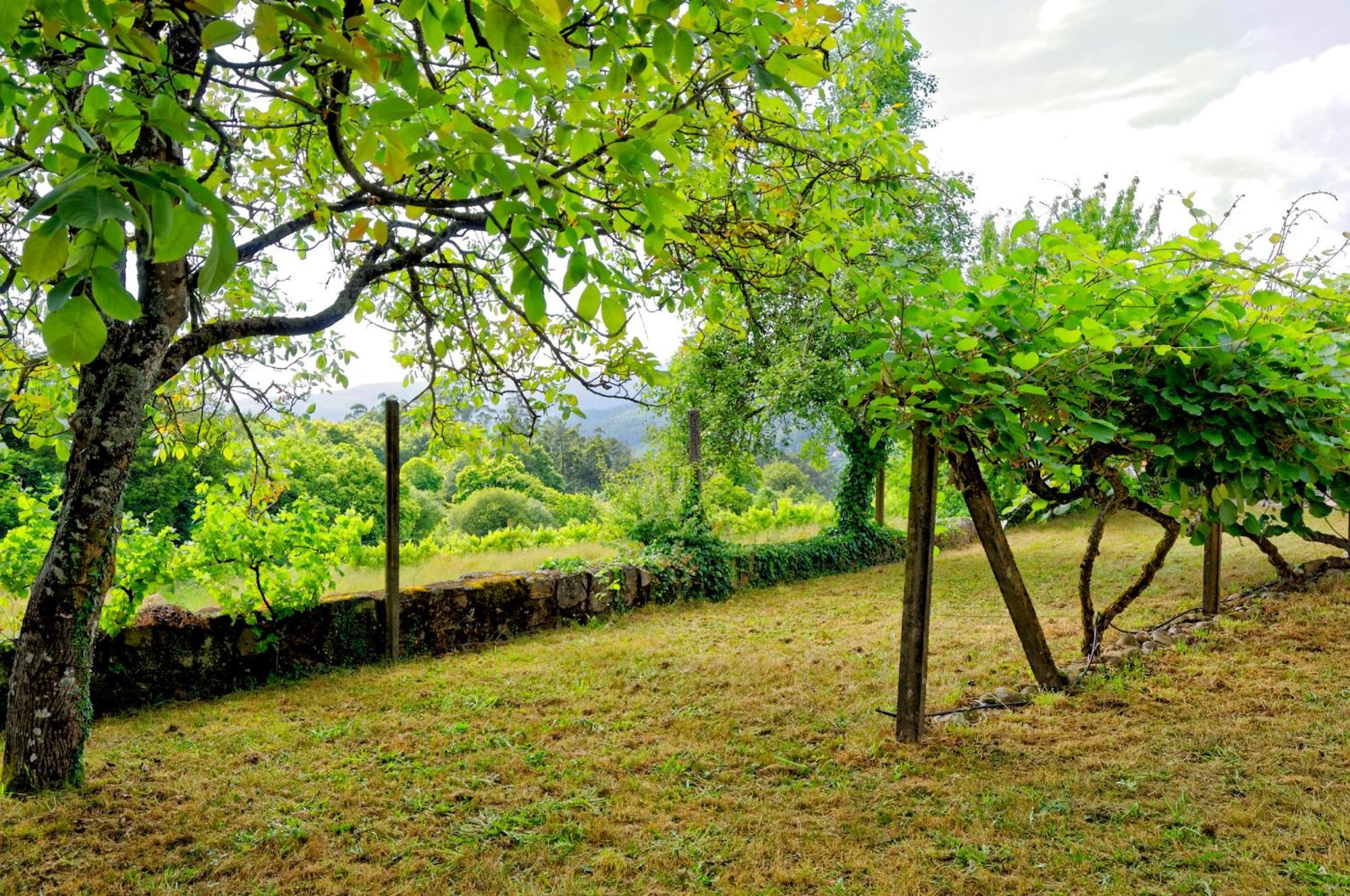 Zen Vouga Villa Ribeiradio Exteriör bild