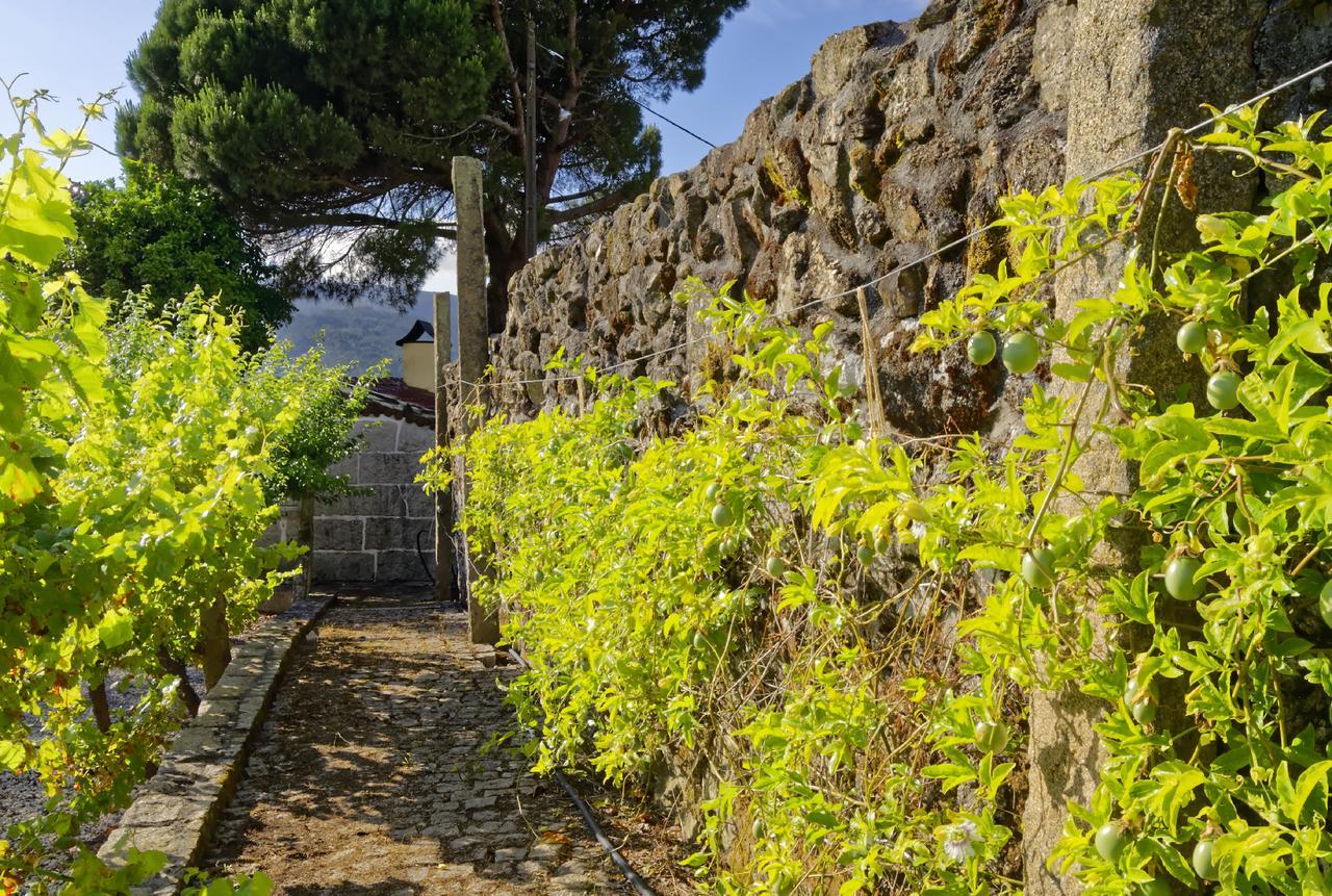 Zen Vouga Villa Ribeiradio Exteriör bild